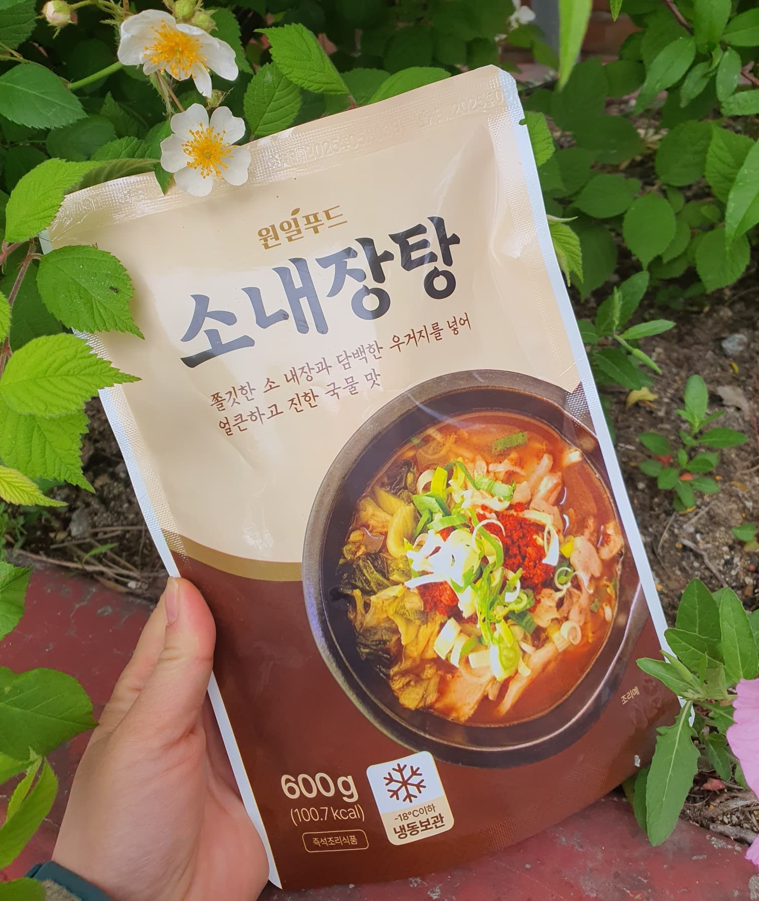 [원일푸드]국내산 한우 소내장탕 숙취해소 선지해장국 국밥밀키트 혼밥혼술 매운국물 속편한해장