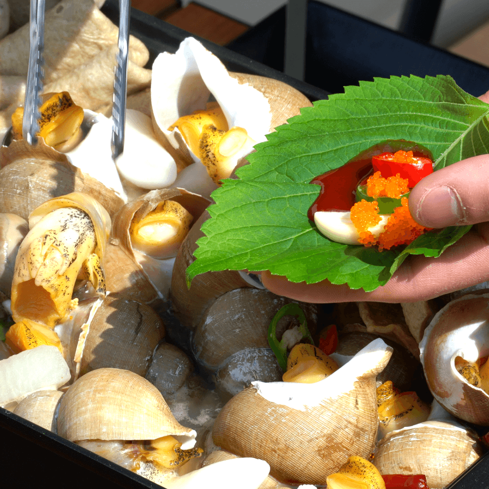 캠핑 맛집 골뱅이탕 글램핑 전문점 집들이 음식 백골뱅이탕 밀키트 씨담푸드